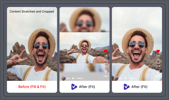 Fill and Fit Controls feature