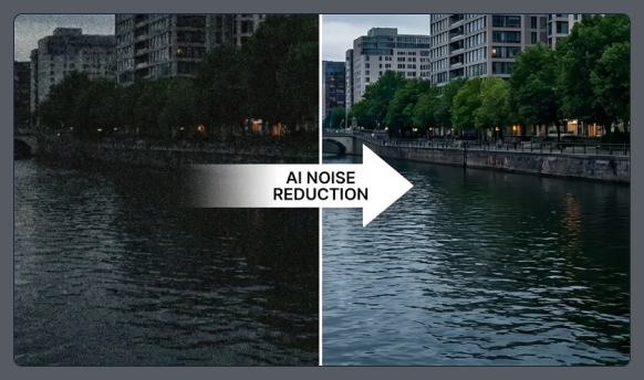 Noise & Grain Reduction feature